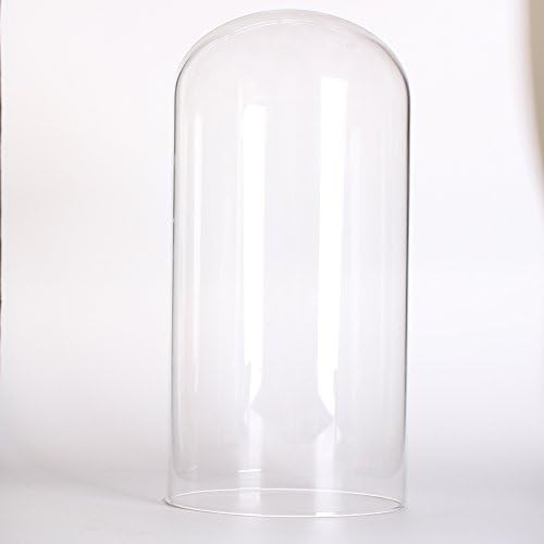 Siyaglass Clear Globe Globe Exibir cúpula com base de madeira preta 4,6 x 11 polegadas