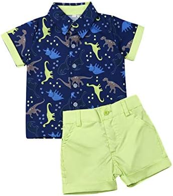 Criança bebê menino flamingo de manga curta para baixo camisa e shorts casuais definir roupas de verão de 1 a 6 anos de