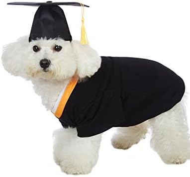 Camisetas de graduação de cães impotentes com chapéus de graduação para animais de estimação com trajes de graduação