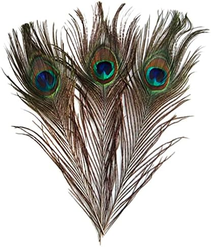 Fancyes 10pcs pavão cauda de cauda para artesanato decoração de chapéu 9-13 polegadas
