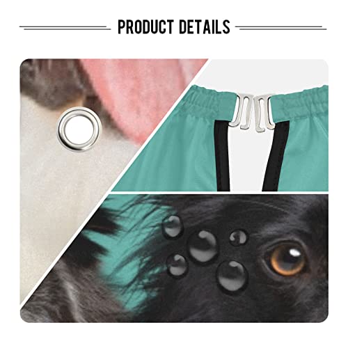 Alaza Border Border collie cão animal animal impermeável capa para homens mulheres barba barba avental pano de corte de cabelo profissional, 65 x 55 polegadas