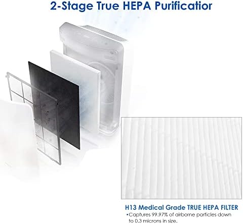 FLINTAR C545 TRUE FILTRO DE SUBSTITUIÇÃO HEPA S, compatível com o purificador de ar Winix C545, compara-se ao filtro S