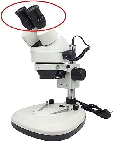 Acessórios para microscópio WF10X WF15X WF20X Microscópio WF25X, diâmetro de montagem 30 mm ou 30,5 mm de laboratório