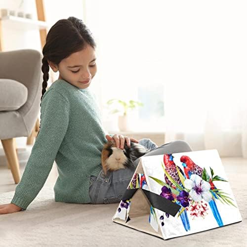 EIDENG PET PET PET HECELOUT Aquarela Phalaenopsis papagaio hamster house house pig Playhouse para coelhos anões Hedgehogs