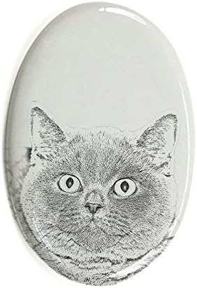 Art Dog Ltd. British Shorthair, lápide oval de azulejo de cerâmica com uma imagem de um gato