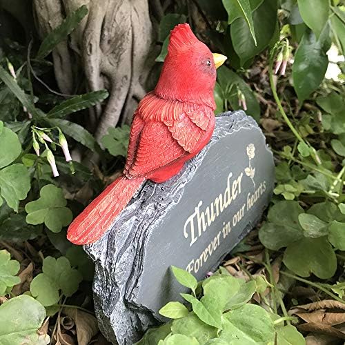 Claratut personalizado Pet Memorial Stones Grave Marcadores com mini ornamento de pássaro cardeal vermelho sobre pedra, pedra