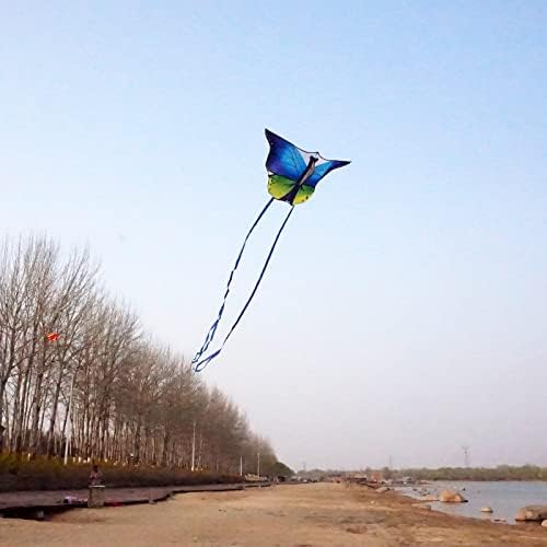 Kite de borboleta de 53 polegadas kaidenic com linhas voadoras fáceis de voar para crianças e adultos