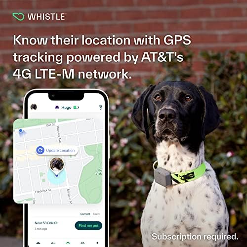 Whistle Go Explore GPS + Health + Fitness Tracker de cães, além de monitor de saúde e fitness, alertas à prova d'água e de escape, luz embutida, se encaixa no colarinho de cachorro, para cães 25 libras e up cinza