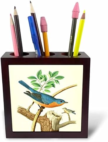 3drose vintage pássaro impressão oriental arte azul selvagem pássaros azuis. - titulares de caneta de ladrilhos