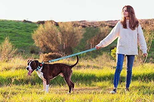 Colarinho de cachorro reflexivo e coleira com travamento de segurança colares de nylon de fivela ajustável para cães