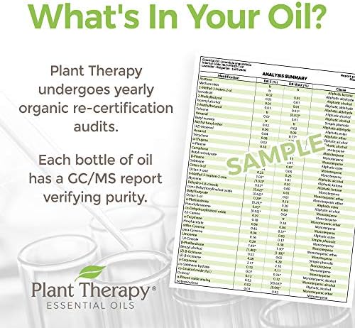 Brenda de óleo essencial de terapia vegetal Brenda de óleo essencial de 10 ml de rolagem pré-diluída em aromaterapia pura e natural, grau terapêutico