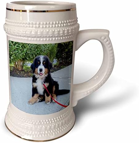 3drose Tory Anne Collections Dogs - Filho de cachorro de cachorro da Bernese Bernese - 22oz de caneca