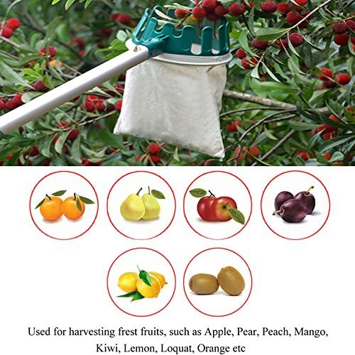 Cabeça de cesta de fruta Hanziup com lâmina afiada, economia de mão