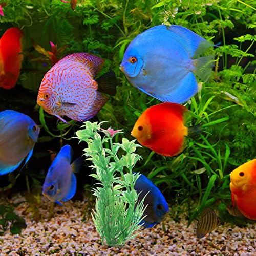IPETBOOM Decorações de tanques de peixes 10pcs Plantas de tanque de peixe Plantas aquários Plantas de água verde plástico plantas subaquáticas decorativas plantas realistas artificiais Ornamento para todas as plantas artificiais de peixe