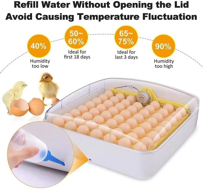 Incubadora de ovo Máquina de eclosão de aves digitais automáticas, incubadoras para chocar ovos com exibição de temperatura