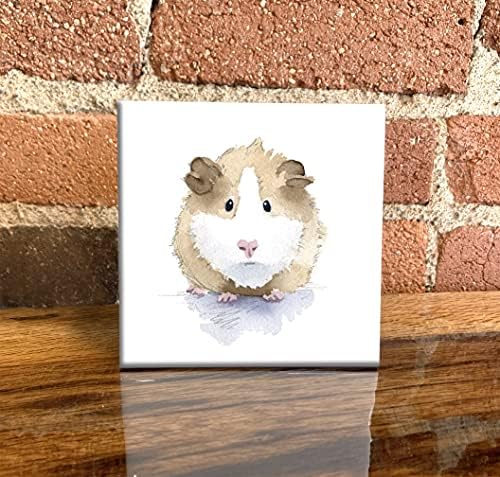 Hamster aquarela de arte decorativa