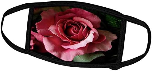 3drose lindas flor rosa que desdobra rosa - tampas de rosto