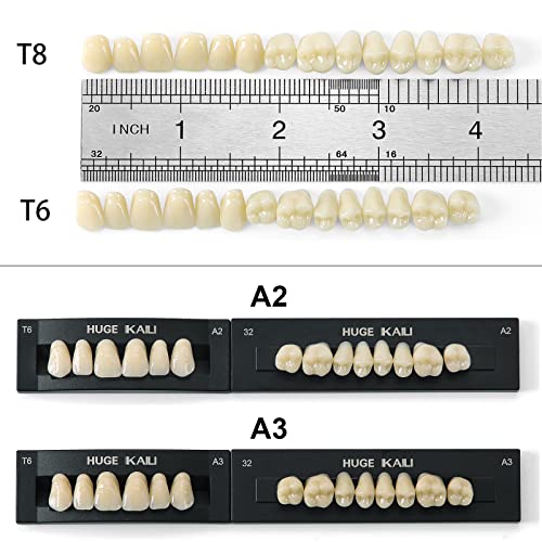 JMU 12pcs Pacote de bandeja de impressão descartável dental com 112pcs 4 conjuntos de resina acrílica dental Denture Denture