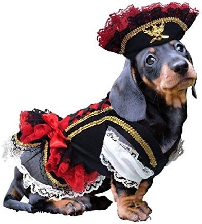 Fantasia de cão pirata swashbuckler