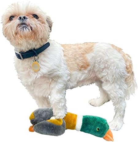 Animal Planet Plush Dog Toy Mallard 12 Long x 10, espessura 3 pelúcia de pelúcia com squeaker; pequeno / médio fofo dogtoy incentiva