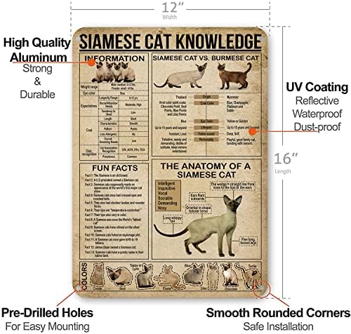 Pôster de Sinais de Metal de Conhecimento Cat Siamese Siamese, Decorações de Decoração de Parede Vintage 16x12 polegadas