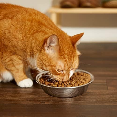 Substituição de tigela de comida de gato bosky 4 pcs aço inoxidável 3 xícara de tigelas para alimentos para animais de