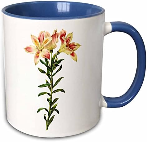 3drose reeroute vintage aquarela peruviana lily Pellegrini caneca de dois tons, 11 oz, azul/branco