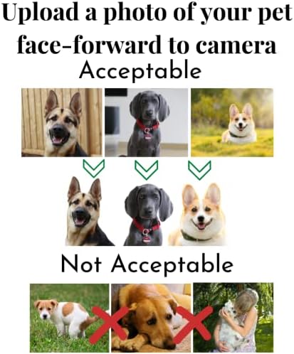 Carteira de carteira de motorista Tag de cachorro personalizado para animais de estimação e carteira - etiquetas de cães para cães