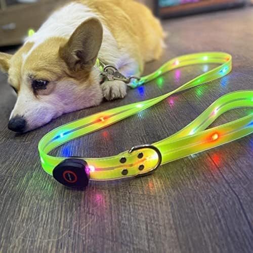 LED Light Up Dog Collar and Leash for Night Time Walle