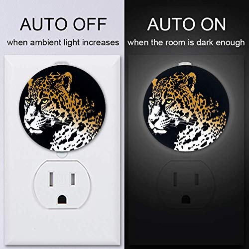 Animal Jaguar Plug in LED Luz automática para quarto, corredor e cozinha, pacote 2
