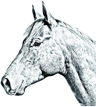 Art Dog Ltd. Holsteiner Horse, lápide oval de azulejo de cerâmica com uma imagem de um cavalo
