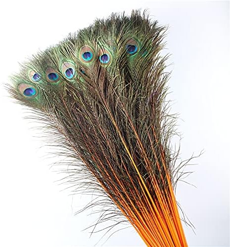 Pumcraft Feather for Craft 70cm-80cm/28-32 polegadas laranja em penas de pavões naturais para acessórios de casamento penas de decoração diy para artesanato plumas-500pcs