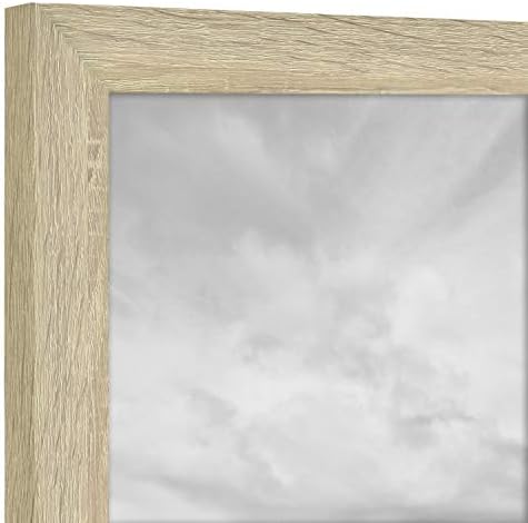 MCS Studio Gallery Frame, Natural Woodgrain, 20 x 30 pol.