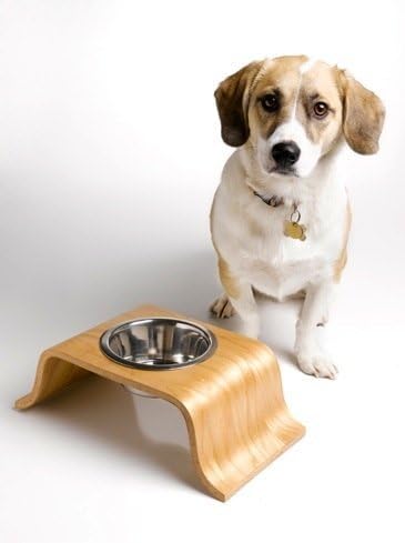 Little Bend Maple Dog Bowl - Solteiro