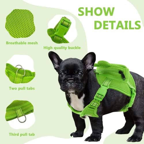 Mochila de cães Colete de chicote de animais de estimação com mochila de sela, camping de mochila de máquinas de gestão de sapo