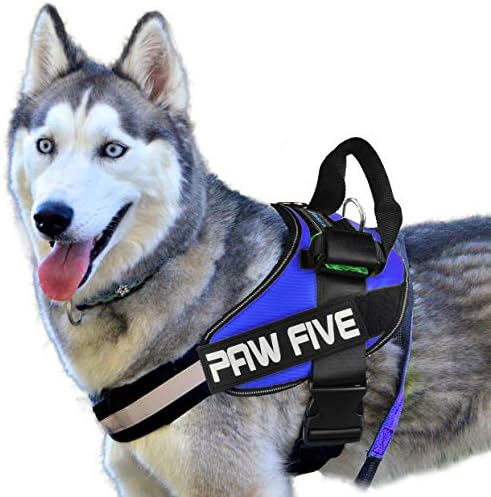 Paw Five Core-1 Churness, reflexivo sem puxar com dispensador de bolsa de resíduos embutidos, totalmente ajustável com alça de controle acolchoada para cães médios e grandes, azul-celeste)…
