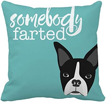 Awowee Throw Pillow Capa Funny Boston Terrier Texto de alguém peidou para o amante de cães gastos Meme 18x18 polegadas