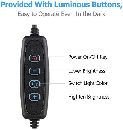 Teerwere Light Light Light 2-in-1 LED Ring Light com suporte de telefone celular suporte de braço de metal flexível luz ajustável