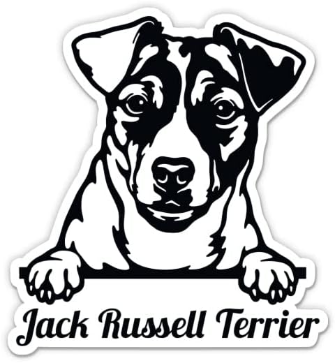 Jack Russell Terrier adesivos - 2 pacote de adesivos de 3 - vinil à prova d'água para carro, telefone, garrafa de água, laptop - decalques de cães de Jack Russell Terrier