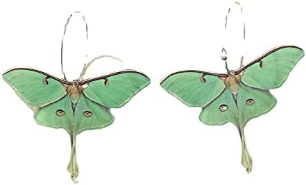 Brincos de argola de borboleta na mariposa de insetos, declaração de asa Brincos de queda de acrílico verde Brincos de asa de