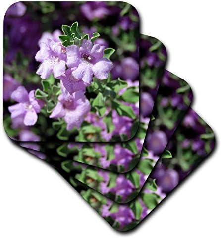 3drose bela flor lavendar com detalhes e algumas montanhas-russas borradas, conjunto de 4, conjunto de 4-Soft, varia