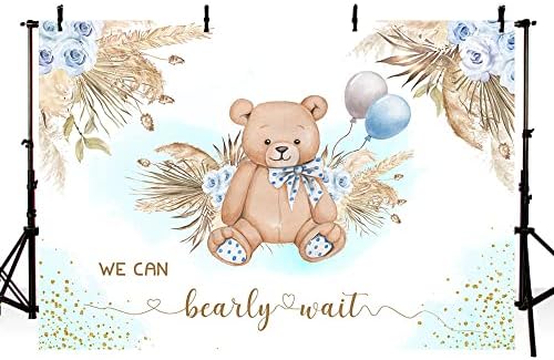 Sendy 8x6ft boho urso chá de bebê pano de fundo para menina, podemos aguardar o chuveiro de bebê panotography backgrou