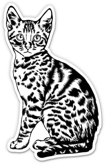 Adesivo de gato de Bengala - adesivo de laptop de 3 - vinil impermeável para carro, telefone, garrafa de água - gato de gato decalque