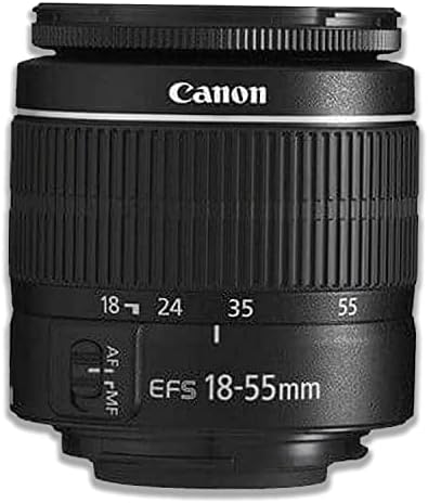 Pacote Canon EOS 2000D: inclui lente de zoom de 18-55 mm, tripé, cartão de memória de 64 GB, estojo de transporte e kit de filtro de