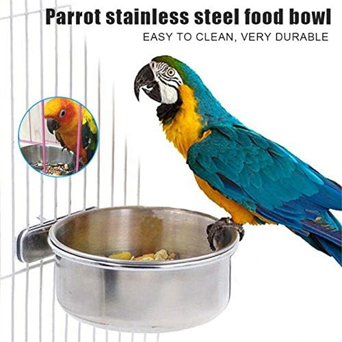 Tigelas de alimentação de papagaio, porta -gaiolas de pássaros - alimentos de aço inoxidável e prato de água, alimentadores de pássaros