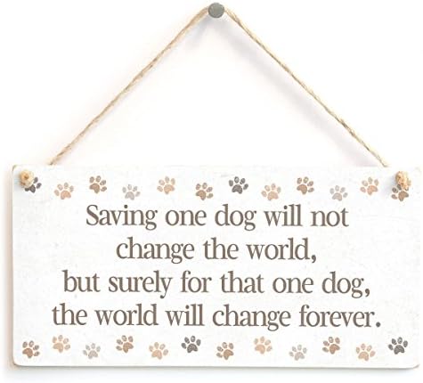 Meijiafei Salvar um cachorro não mudará o mundo, mas certamente para esse cachorro, o mundo mudará para sempre. - Linda cã