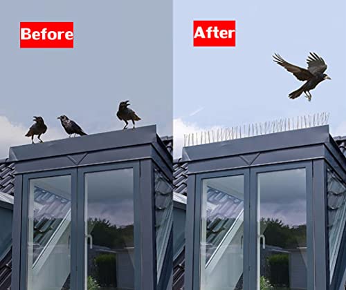 Anti -pombos Kit de dissuasão de aço inoxidável picos de pássaros para casa e condomínio
