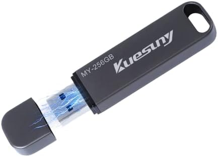 KueSuny USB Flash Drive 256 GB, SSD externo 400MB/S-560MB/S SUPER SPELE FLASH DRIVE, USB 3.2 Estado sólido Drive USB