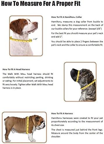 Hamilton B Ste 12br Single Grost Nylon Deluxe Dog-Collar, 3/8 x 12 polegadas, marrom