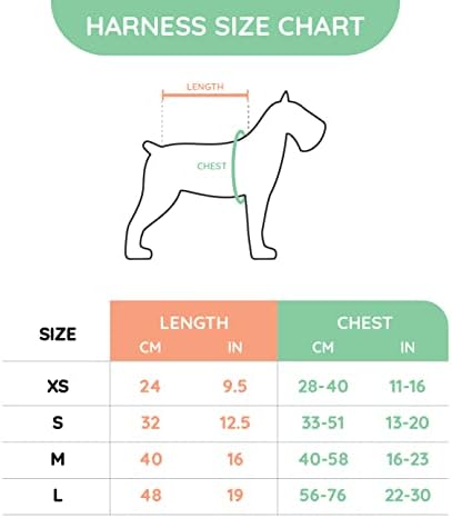 Hugsmart - Arnês de cães | Arnês de cães ajustáveis ​​de malha de ar mole | Etapa impressa fofa - no arnês com pescoço acolchoado para pequenas raças médias e grandes